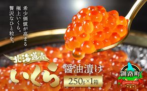 北海道産 いくら醤油漬け 250g ×1箱 配送日時指定可 | 国産 いくら いくら醤油漬 イクラ ikura 天然 鮭 サーモン 鮭卵 鮭いくら 冷凍 笹谷商店 直営 釧之助本店 10,000円 配送時期が選べる 配送 指定 配送日 選べる スピード発送 北海道 釧路町 釧路超 特産品　121-1928-01-126