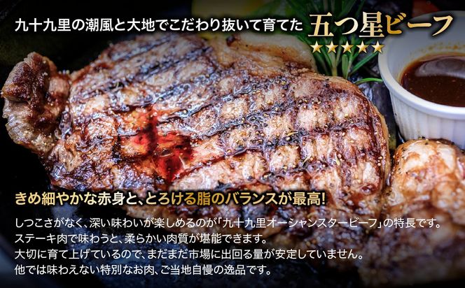 脂と赤身のバランスが最高! ブランド牛 九十九里オーシャンスタービーフ サーロインステーキ用 200g×2枚 SMCE002