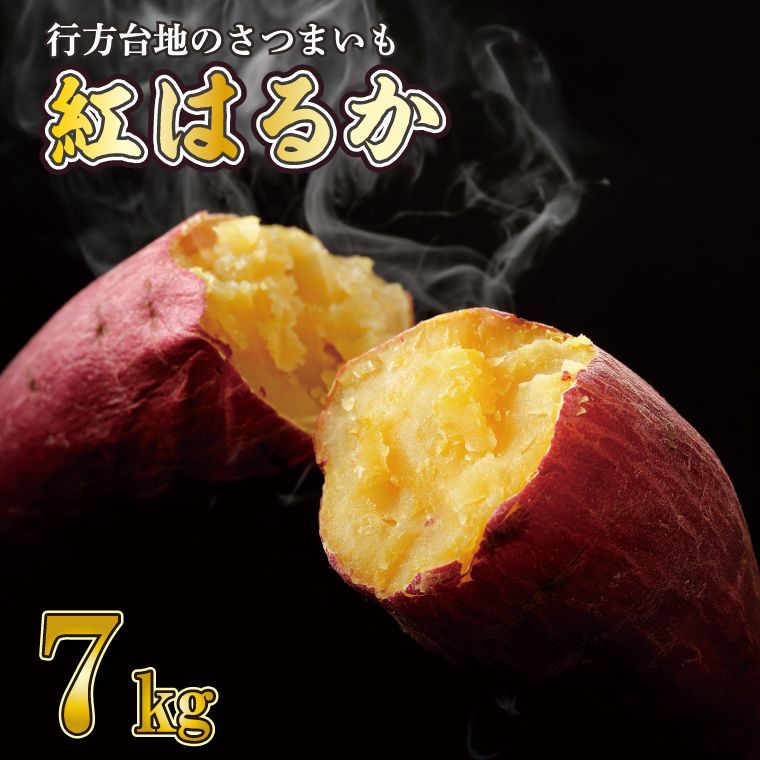 [訳あり] 紅はるか 約7kg [2026年9月より順次発送]|紅はるか 無選別 先行予約 行方台地 さつまいも 茨城県(CU-55-7)