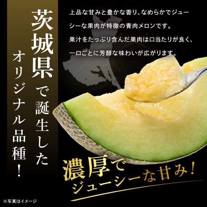 完熟 メロン イバラキング 2玉 │ 3kg フルーツ 産地直送 高級 贈答用 （CK002）
