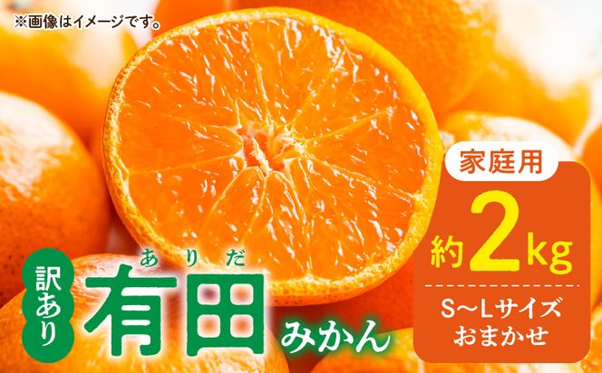 DZ6100_12_【2026年12月発送】ご家庭用 有田みかん 和歌山 S～Lサイズ 大きさお任せ 約2kg
