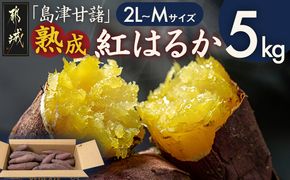 島津甘藷　熟成紅はるか 5kg(2L～M)_A7-001-5kg さつまいも 幻のサツマイモ 幻の品種 紅はるか 5kg 2L～M べにはるか 芋 生芋 焼き芋に!! ベジエイト 熟成 芋 定番 焼き芋 アウトドア