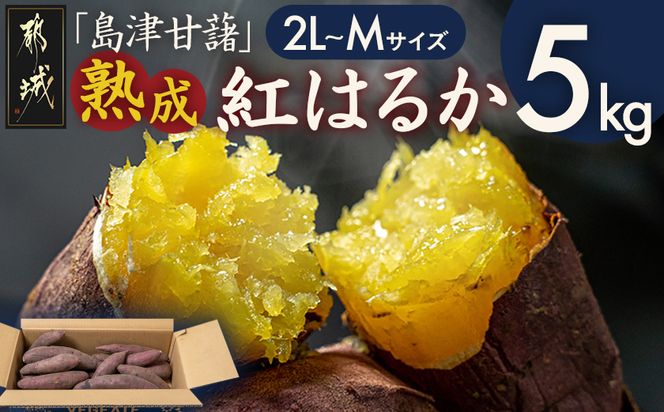 島津甘藷　熟成紅はるか 5kg(2L～M)_A7-001-5kg さつまいも 幻のサツマイモ 幻の品種 紅はるか 5kg 2L～M べにはるか 芋 生芋 焼き芋に!! ベジエイト 熟成 芋 定番 焼き芋 アウトドア