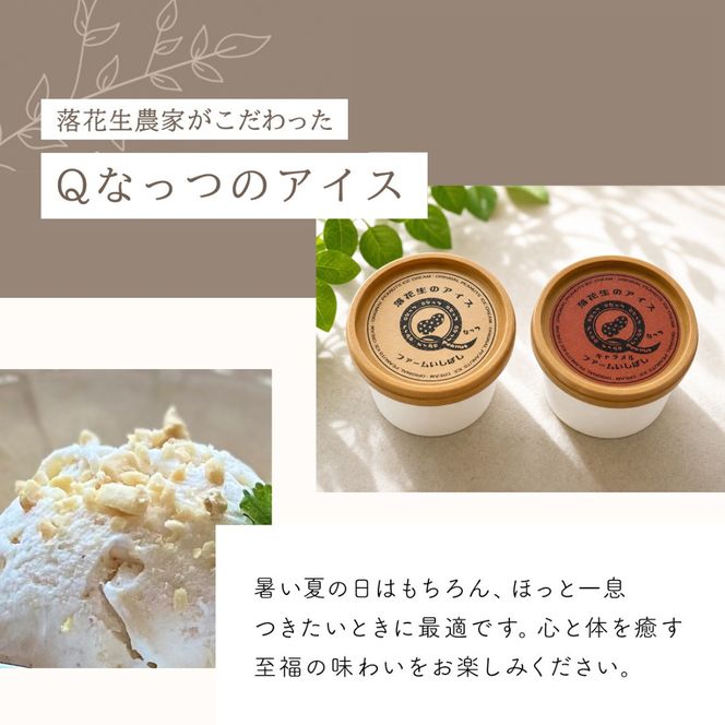 【先行予約】【11月上旬から発送】落花生・Ｑなっつのアイス10個セット（プレーン5個・キャラメルピーナッツ5個） ／ふるさと納税 ピーナッツ ナッツ 豆 落花生 アイス 千葉県 山武市 SMAH006 