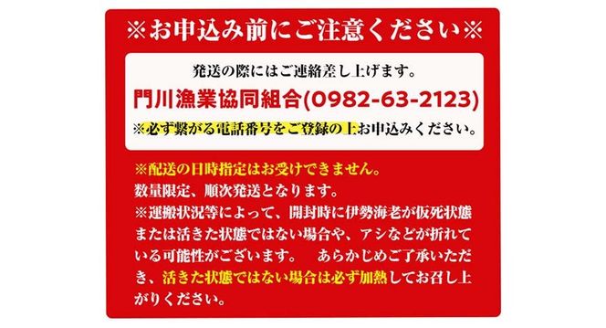 ＜ 数量限定 期間限定 ＞天然！門川町産活き伊勢海老(計500g・約1～2尾) エビ えび 刺身 魚介 海鮮 朝獲れ 国産 【O-13】【門川漁業協同組合】