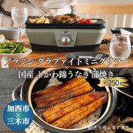 アラジン グラファイトミニグリラー 緑 国産 よかわ錦うなぎ 蒲焼き 約250g セット CAG-MG7AG