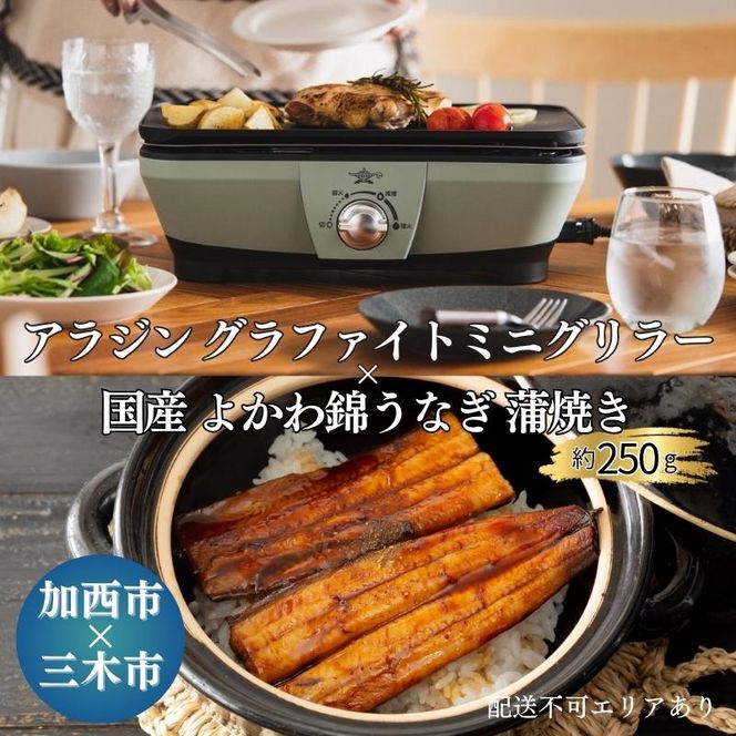 アラジン グラファイトミニグリラー 緑 国産 よかわ錦うなぎ 蒲焼き 約250g セット CAG-MG7AG