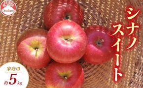 【2026年9月～発送】シナノスイート 家庭用 約5kg りんご リンゴ 林檎 果物 フルーツ 長野県 長野 山ノ内町