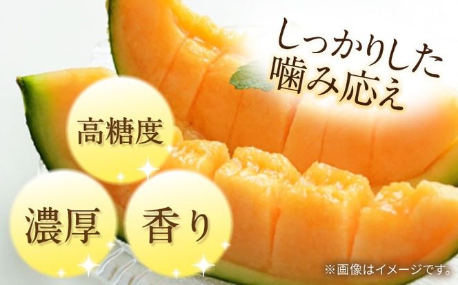 【2026年5月〜発送】訳あり タカミメロン レッド 1箱 5kg以内 （3～6玉）/ メロン めろん フルーツ 果物 / 南島原市 / 南島原果物屋[SCV036]