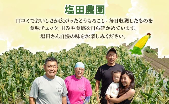 北海道産 白い とうもろこし ピュア ホワイト L 10本 8月中旬～下旬お届け 朝採り トウモロコシ コーン 北海道産 甘い ピュアホワイト 新鮮 先行受付 夏 野菜 産地直送 塩田農園 送料無料 北海道 洞爺湖町 