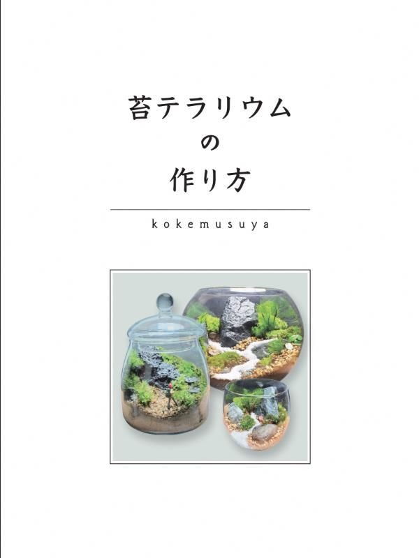 コケテラリウム制作キット直径15cm 動画説明付き〈コケ 苔 こけ 植物 初心者 インテリア 手作り セット キッド 雑貨 日用品〉 