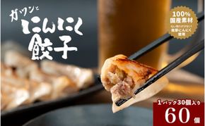 発芽にんにく餃子30個入り2パック　餃子 にんにく にんにくたっぷり 国産にんにく 発芽にんにく 冷凍 臭わない 栄養価抜群 スタミナ 免疫アップ おつまみ おかず 総菜 餃子専門店 ぎょうざ 工場直売 大量 まとめ買い 