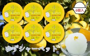 Made in 土佐★ゆずシャーベット6個（高知アイス）
