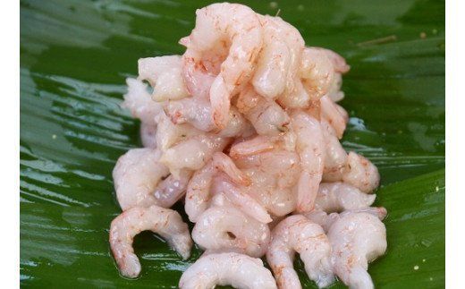 究極 海老 せんべい 「千歳のえび32袋」高級 えびせん 詰め合わせ 贈り物 ギフト H011-155