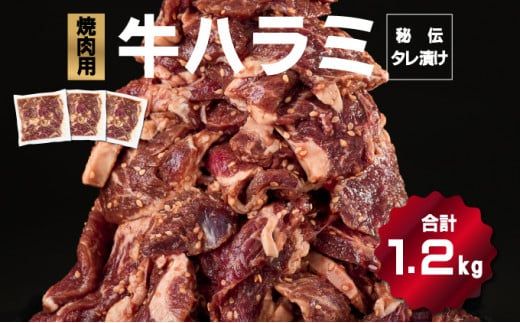 秘伝のタレ漬け！ハラミ焼き肉用 1.2kg B-1012