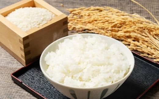 【令和7年産米】牛とつくったお米 食べ比べセット「IWAFUNE」計6kg（新潟県岩船産コシヒカリ・新之助・こしいぶき各2kg）1041004