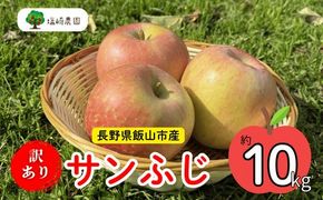 【先行予約】 【訳あり】サンふじ 約10kg（2024年産） (H-1.8)