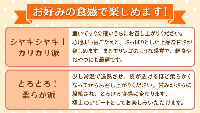 ＼ 選べる内容量 ／ 富有柿 Lまたは2L 約3kg or 2L以上 約10kg or 約10kg【10月より発送開始】（茨城県共通返礼品 [柿]：大子町産） | 柿  かき 旬 お取り寄せ フルーツ 甘い 秋の味覚