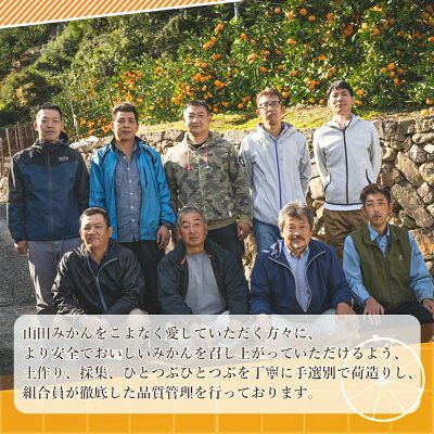 【2026年先行予約】山田みかん約9kg（2Lサイズ）_AM6005