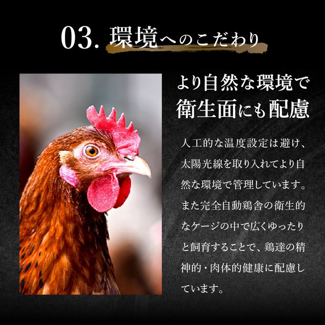 【累計5,000パック突破！】たずみの「ひね鶏」セット（スライス 200g・小間切れ 200g）003AB03N.／鶏肉 親鳥 鳥肉 とりにく ひねどり ひね鶏 チキン とり肉 もも 肉 モモ肉 胸肉 ムネ肉 こま切れ 細切れ 鶏むね肉 鍋 親子丼 唐揚げ 筑前煮 焼き鳥 小分け 真空パック 国産 冷凍