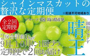 ぶどう 先行予約 【2回定期便】 シャイン マスカット 晴王 2房（合計約1kg） ブドウ 葡萄  岡山県産 国産 フルーツ 果物 ギフト デザート 食後 酸味が少ない 9月・10月にお届け ハレノフルーツ