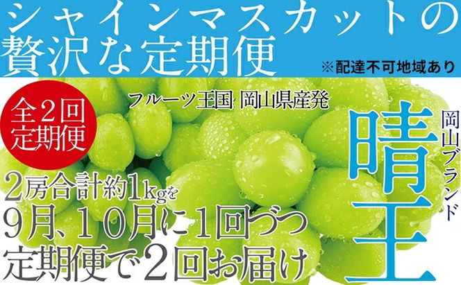 ぶどう 先行予約 【2回定期便】 シャイン マスカット 晴王 2房（合計約1kg） ブドウ 葡萄  岡山県産 国産 フルーツ 果物 ギフト デザート 食後 酸味が少ない 9月・10月にお届け ハレノフルーツ
