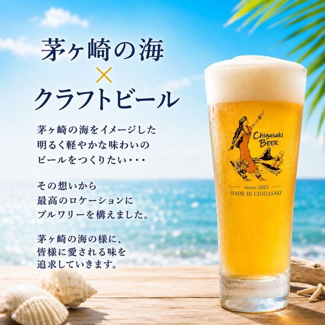 茅ヶ崎ビール (Weizen) 8本セット　【お酒　ビール　クラフトビール　瓶入り　化粧箱入り】 地ビール 瓶ビール アルコール飲料 家飲み 晩酌 バーベキュー BBQ 