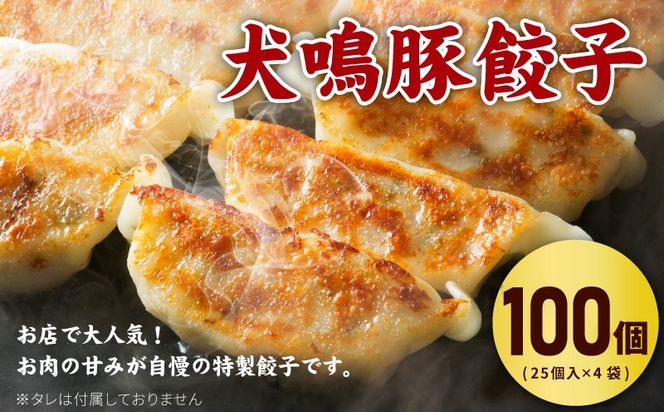 G5375 【期間限定】犬鳴豚餃子 100個 ハンバーグ 2個 セット【国産 豚肉 ぶたにく 犬鳴ポーク 焼くだけ 人気 総菜 冷凍】