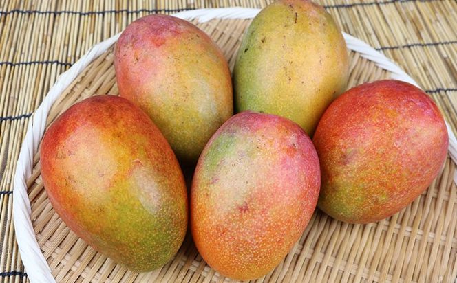 【2026年発送】農家さん直送！アップルマンゴー4kg以上　家庭用 アーウィン 果物 甘い 夏 濃厚 ギフト Mango ランキング 完熟 お気に入り 収穫 人気 甘味 フルーツ 沖縄県 先行予約 食品 デザート 産地直送 送料無料