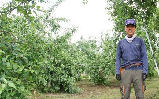 【3回定期便】小布施屋のりんご食べ比べ定期便 3回コース ［小布施屋］フルーツ 果物 りんご 林檎 定期便 信州産 長野県産 令和8年産 【2026年10月～2027年1月発送】 ［C-501］