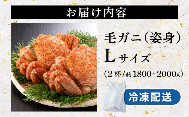 毛ガニ（姿身）Lサイズ 2尾 ogm-018