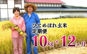 【12ヶ月定期便】減農薬栽培 ひとめぼれ 玄米 10kg（5kgx2袋） 【1113】
