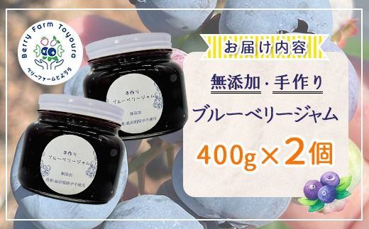 北海道 豊浦町産 無添加手作り ブルーベリージャム400g×2個 TYUS018