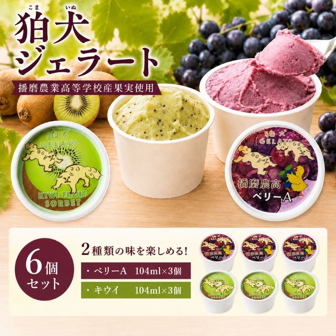 ジェラート 狛犬ジェラート 播磨農業高等学校産 キウイ ベリーA 食べ比べ 計6個セット アイス アイスクリーム 手作り スイーツ ギフト プレゼント お祝い