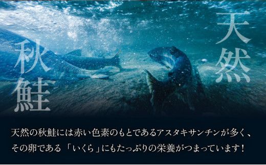 北海道産天然秋鮭 いくら醤油漬け 250g～2kg | 魚貝類 加工食品 250g 500g 1kg 1.5kg 2kg 登別産 海の幸 いくら イクラ 小分け 鮭いくら 鮭イクラ イクラ醤油漬 イクラ醤油漬け 鮭 鮭卵 ikura いくら醤油漬 冷凍いくら 冷凍イクラ いくら北海道 イクラ北海道 醤油鮭いくら 醤油鮭イクラ 2026 人気 ふるさと納税 北海道 登別市