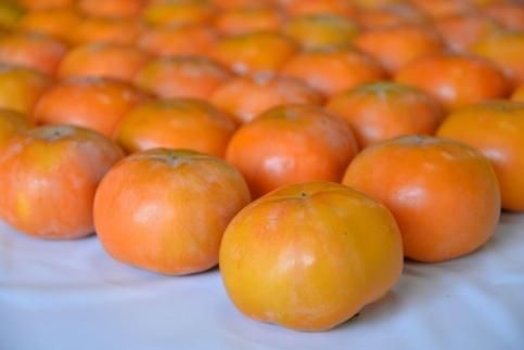 ys{sszyss_ }xzߘa7N11{`}yL`iLTCY 15j 261009_A-EA005