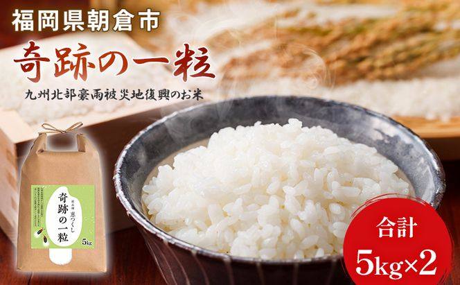 米 10kg 恵つくし 奇跡の一粒 5kg×2 令和7年産 お米 こめ コメ 新品種 