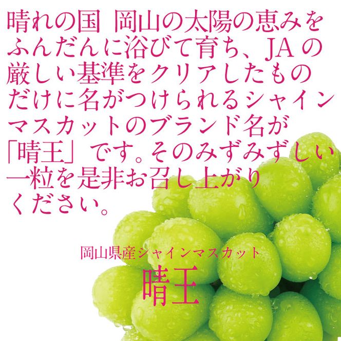 【定期便 全2回】ぶどう 2026年 先行予約 9月・10月発送 シャインマスカット 晴王 1房 約750g ブドウ 葡萄 岡山県産 国産 フルーツ 果物 ギフト