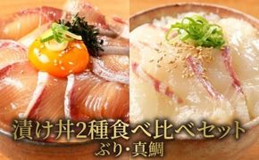 【冷凍】日向灘ぶりと真鯛の漬け丼2種食べ比べセット　100g×8袋　N019-YA948