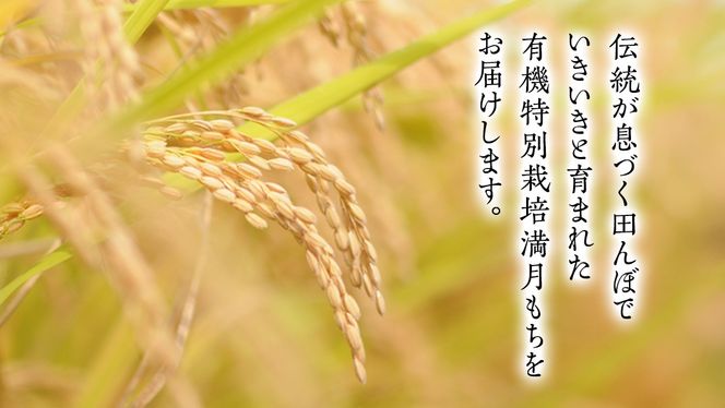 【ふっくら なめらか 良くのびる】＜令和6年産＞ 満月もち精米5kg　三百年続く農家の有機特別栽培 満月もち 農創 国産 茨城県産 おいしい 新生活 新生活応援 必要なもの 便利 おすすめ 消耗品 一人暮らし もち米 少量 [AC102-NT]