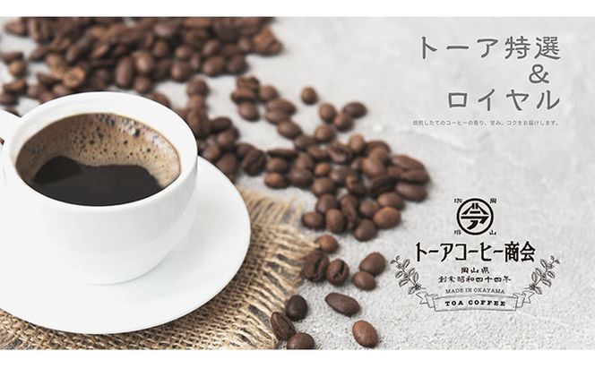 自家焙煎 コーヒー 350g（175g×2袋）トーア特選ブレンド 1袋 ロイヤルブレンド 1袋 トーアコーヒー商会 ブレンドコーヒー 焙煎 珈琲 飲料類 コーヒー豆 珈琲豆 コーヒー粉