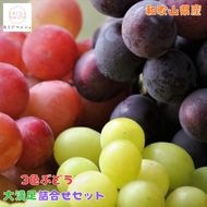 農家直送 ３色ぶどう詰め合わせ大満足セット 約4kg入り［2026年・先行予約］ 	AO033