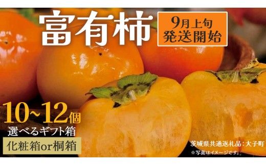 《 選べる 梱包 》 富有柿10～12個 化粧箱入り / 桐箱入り【2026年9月上旬発送開始】(茨城県共通返礼品：大子町) 柿 かき カキ 果物 フルーツ 旬 季節限定 期間限定 贈答用 ギフト 贈り物