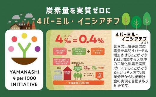 【2026年先行予約】山梨県都留市産　朝採れ「白い桃」 1.5kg以上 (５～７玉）