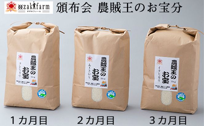 3か月連続　農賊王のお宝分け 玄米10kg［高島屋選定品］ お米 コシヒカリ b1102 
