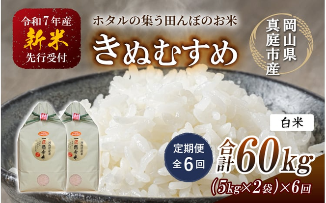 ＜定期便 全6回＞令和7年産 真庭市産きぬむすめ 白米10kg(5kg×2袋)×6回 / お米 国産 岡山県 米 人気 ブランド 2025年産 【tkns-tkb017-cho】