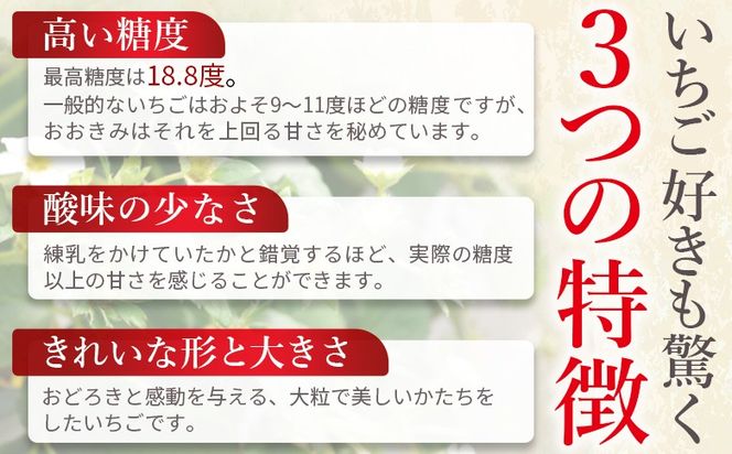 ＜高級いちご 「おおきみ」（9～12粒×2パック 合計約760g以上）簡易包装＞2025年1月上旬から4月末迄に順次出荷【 いちご イチゴ 苺 先行予約 甘い 大きい 果物 フルーツ 季節物 】【b0857_sn】