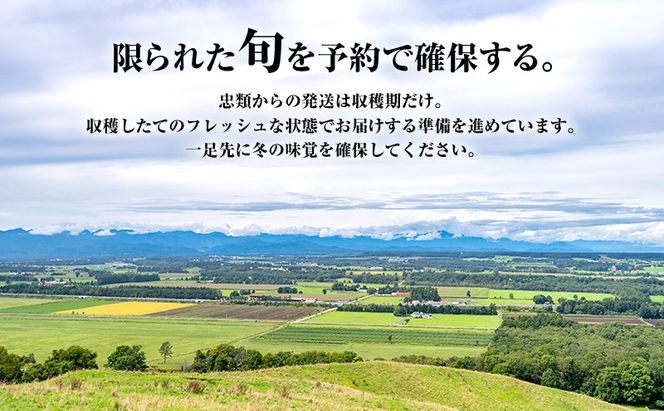 2026年12月発送 先行予約 十勝「忠類長いも」10kg (10～16本) L～2L［JA忠類］【 長芋 ながいも 山芋 芋 とろろ 野菜 根菜 産地直送 贈答 ギフト北海道 幕別 】