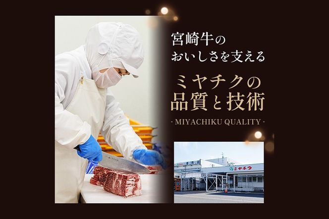 【定期便・全6回(連続)】宮崎牛定期便＜Bセット＞お楽しみ 牛肉 国産 定期 ヒレ肉 ひれにく モモ ウデ ロース バラ スライス 宮崎県産 黒毛和牛 小間切れ 焼肉 ステーキ しゃぶしゃぶ すき焼き【R-68】【株式会社ミヤチク】