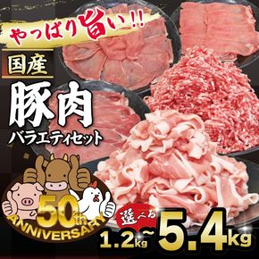 【選べる容量】 豚肉 ぶた バラエティセット 約1.27kg 約2.4kg 約5.4kg 国産 豚肉 国産豚 しゃぶしゃぶ スライス 生姜焼き 豚こま 土佐備長豚 備長炭育ちミンチ 冷凍 小分け 家庭用 贈答用 業務用 吉岡精肉店 高知県 室戸市